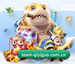 奇异果体育网页版的故事