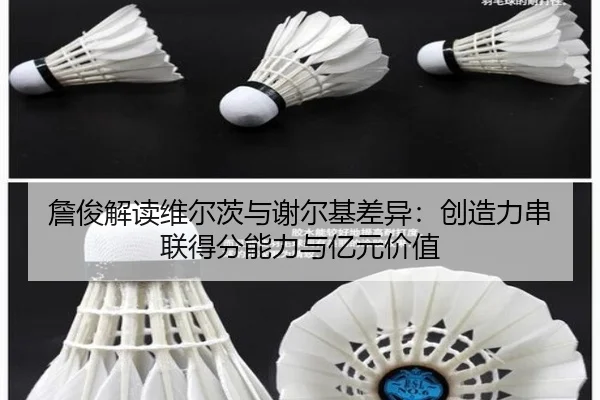 詹俊解读维尔茨与谢尔基差异：创造力串联得分能力与亿元价值